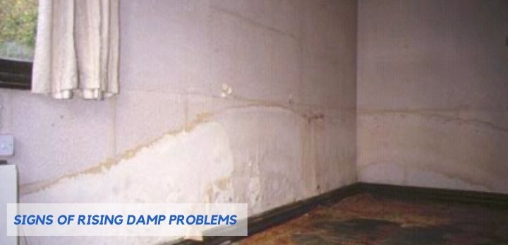 Signs Of Rising Damp Problems