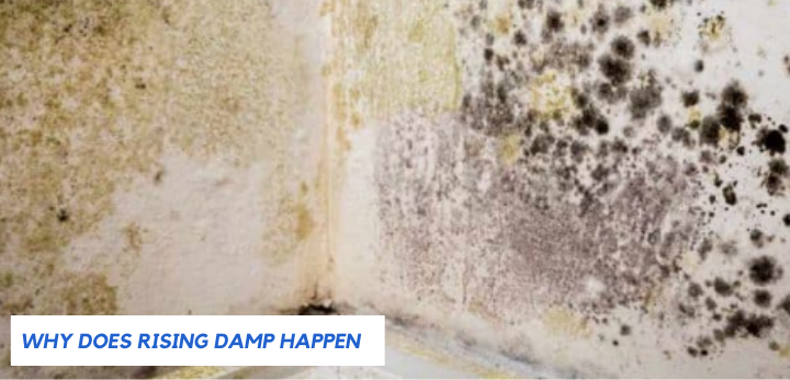 why does rising damp happen?