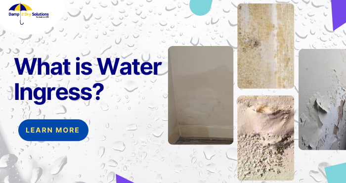 water ingress - what is water ingress