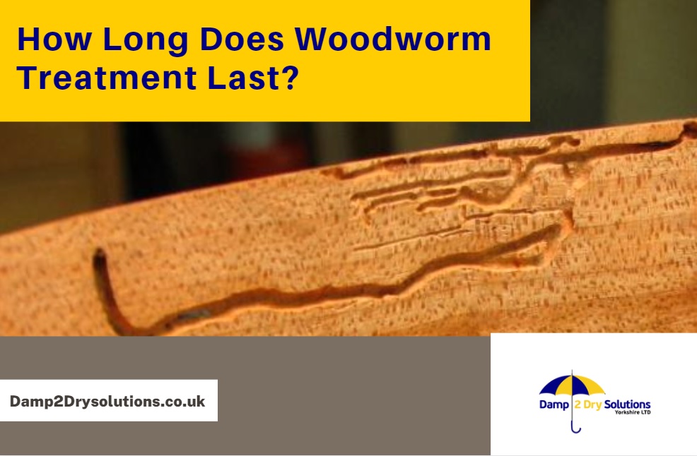 How Long Does Woodworm Treatment Last