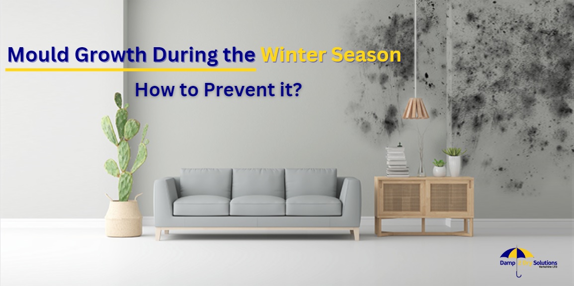 Mould Growth During the Winter Season How to prevent it