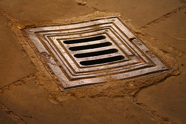 drainage