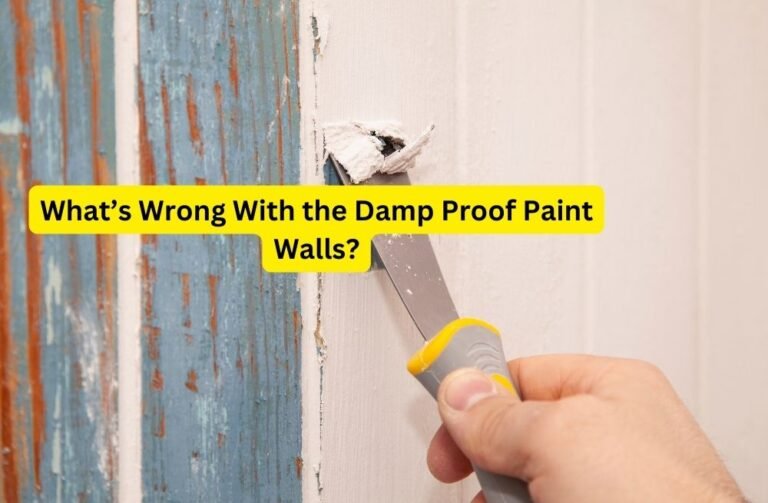 Why Exterior Damp Proof Paint Is Bad For Your Home?