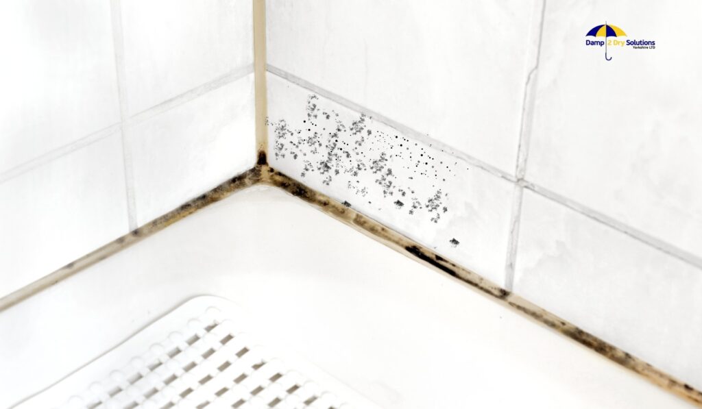 what causes mould