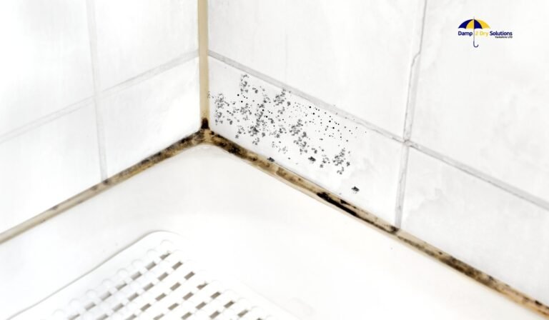 How to Get Rid of Black Mould in Bathroom?
