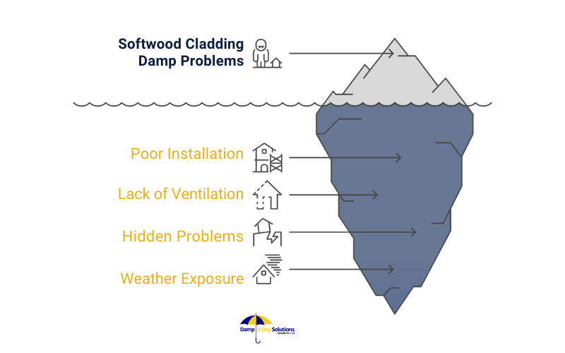 Softwood Cladding Damp Problems