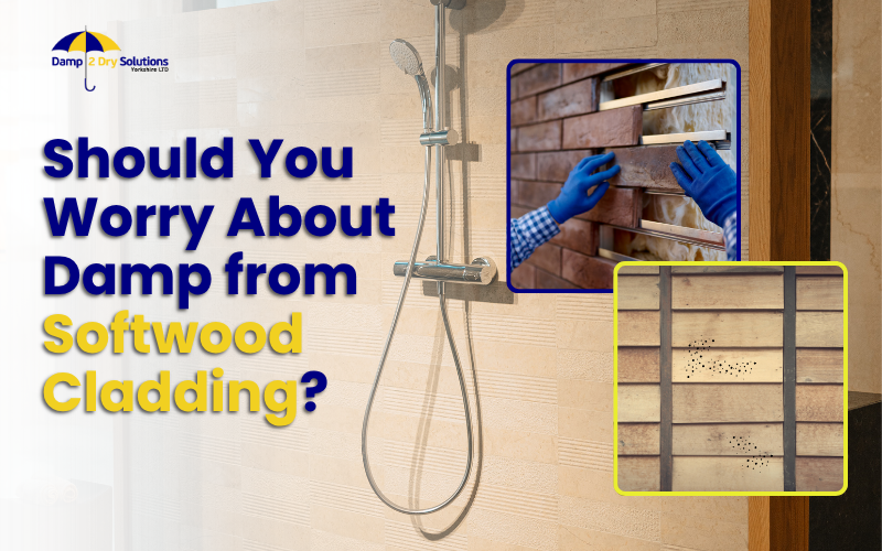should you worry about damp from softwood cladding