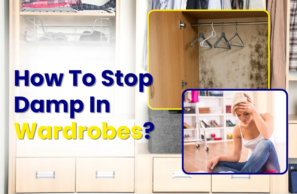 How To Stop Damp In Wardrobes? post thumbnail image