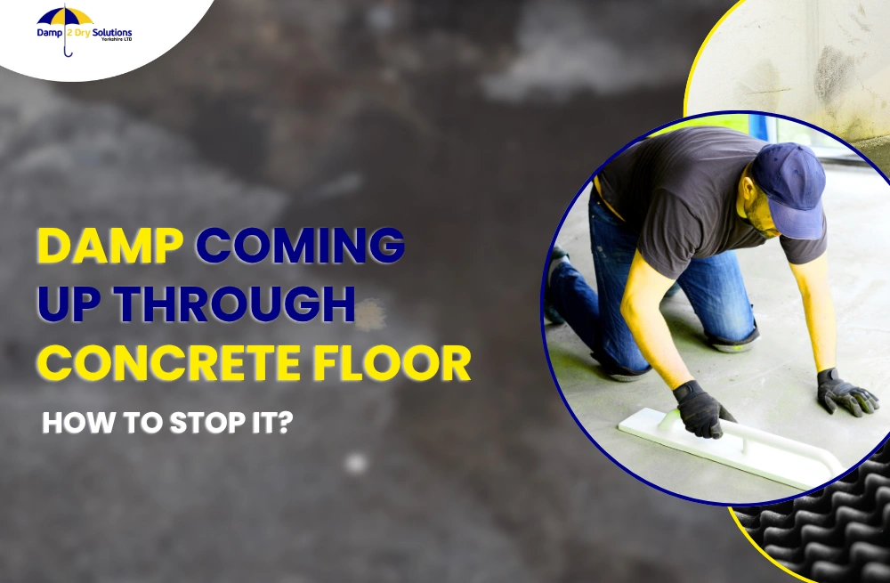 How to Damp Proof Concrete Floors (UK Guide) post thumbnail image