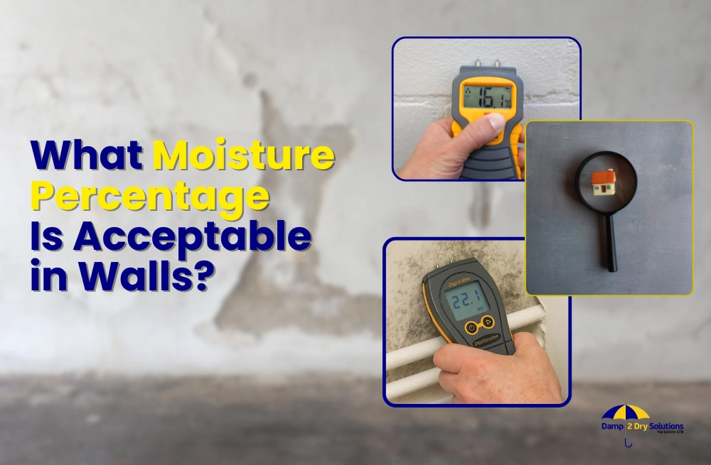 What Moisture Percentage is Acceptable in Walls? post thumbnail image