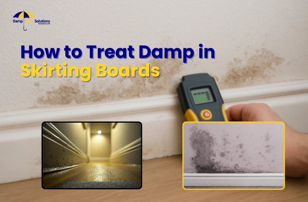 damp and green in skirting boards