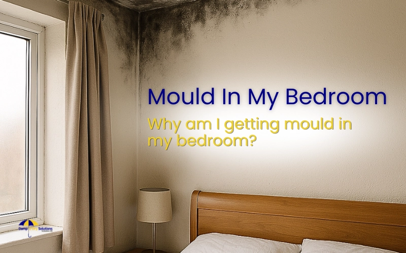 Why Am I Getting Mould In My Bedroom? post thumbnail image