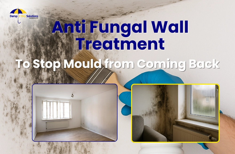 Anti Fungal Wall Treatment