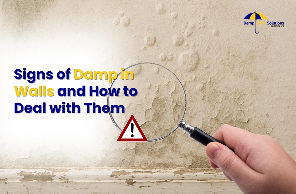 Signs of Damp in Walls and How to Deal with Them post thumbnail image