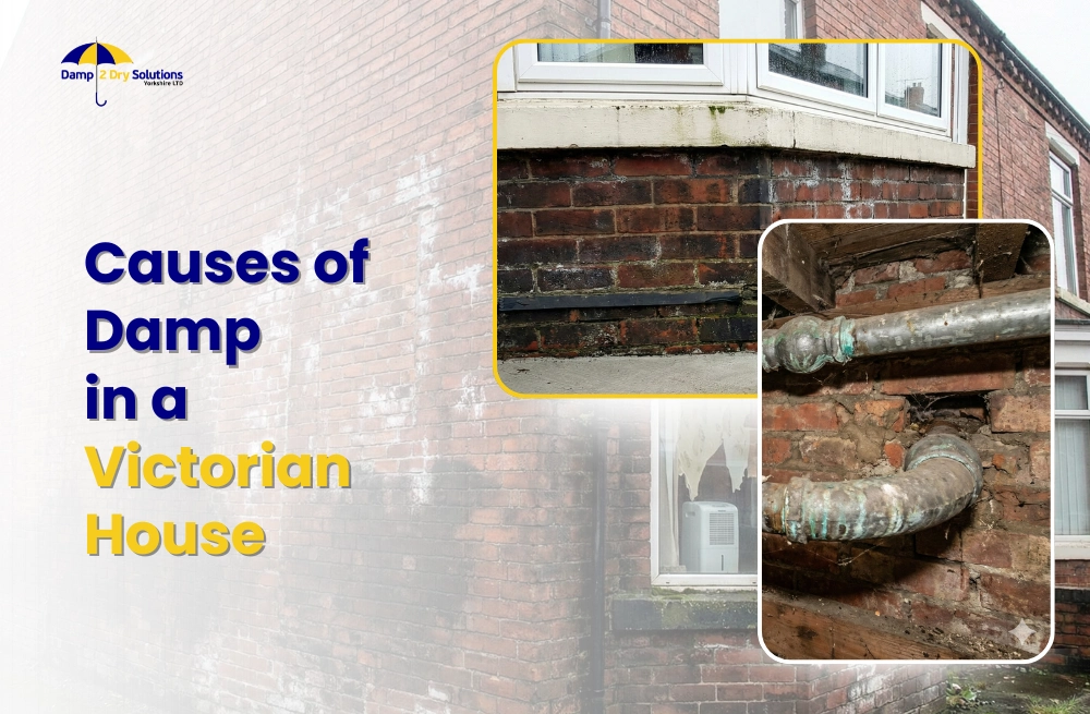 Causes of Damp in a Victorian House