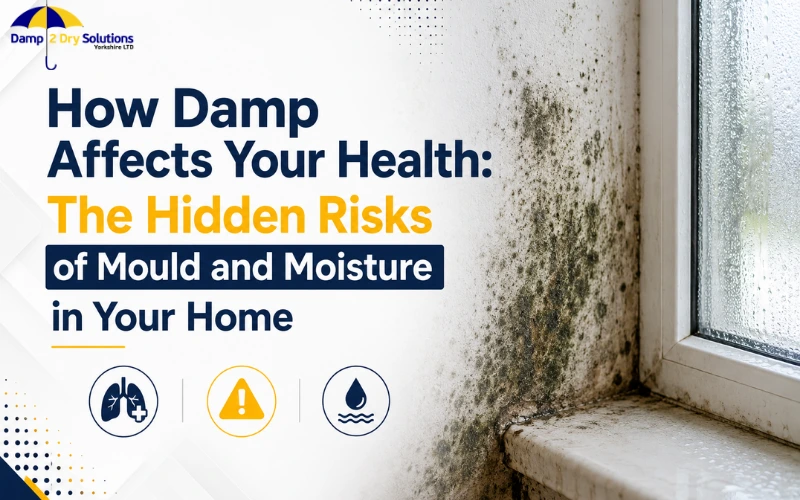 How Damp Affects Your Health: The Hidden Risks of Mould and Moisture in Your Home post thumbnail image