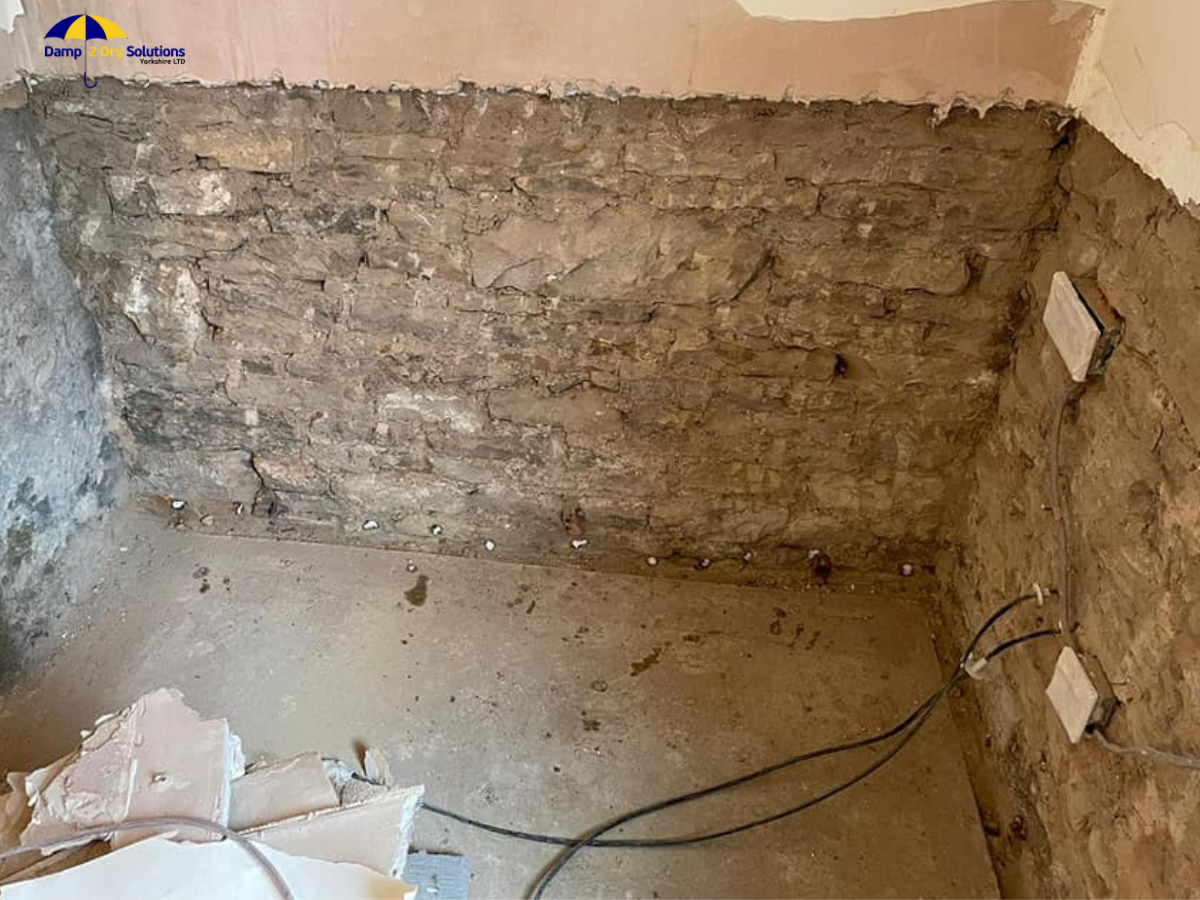 Damp Proofing Repairs