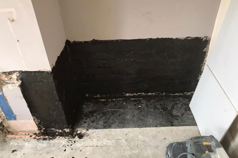 Dry Rot