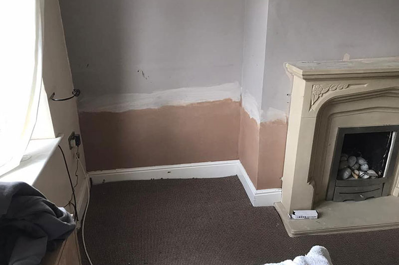 Dry Rot