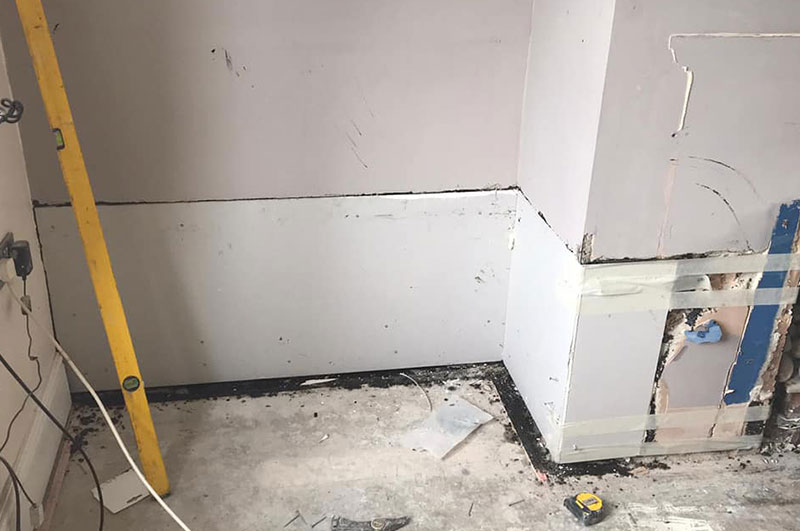 Dry Rot