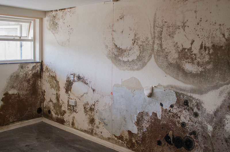 Penetration Damp