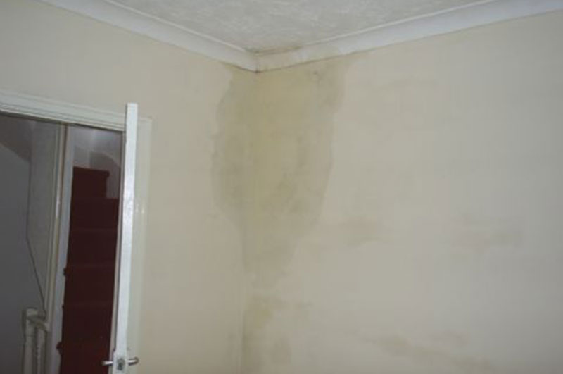 Penetration Damp