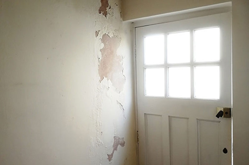 Penetration Damp