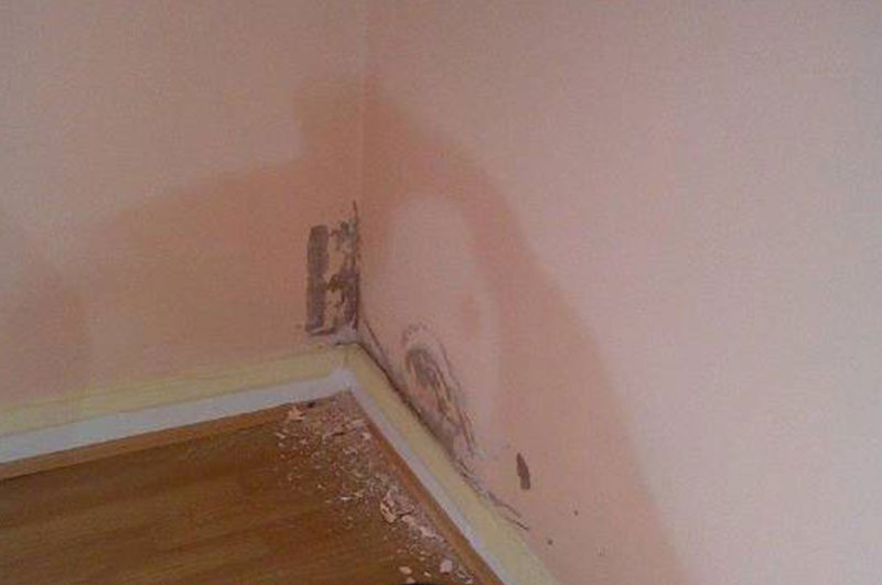 Penetration Damp